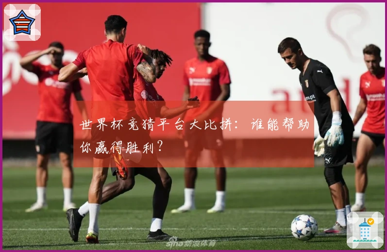 世界杯竞猜平台大比拼：谁能帮助你赢得胜利？